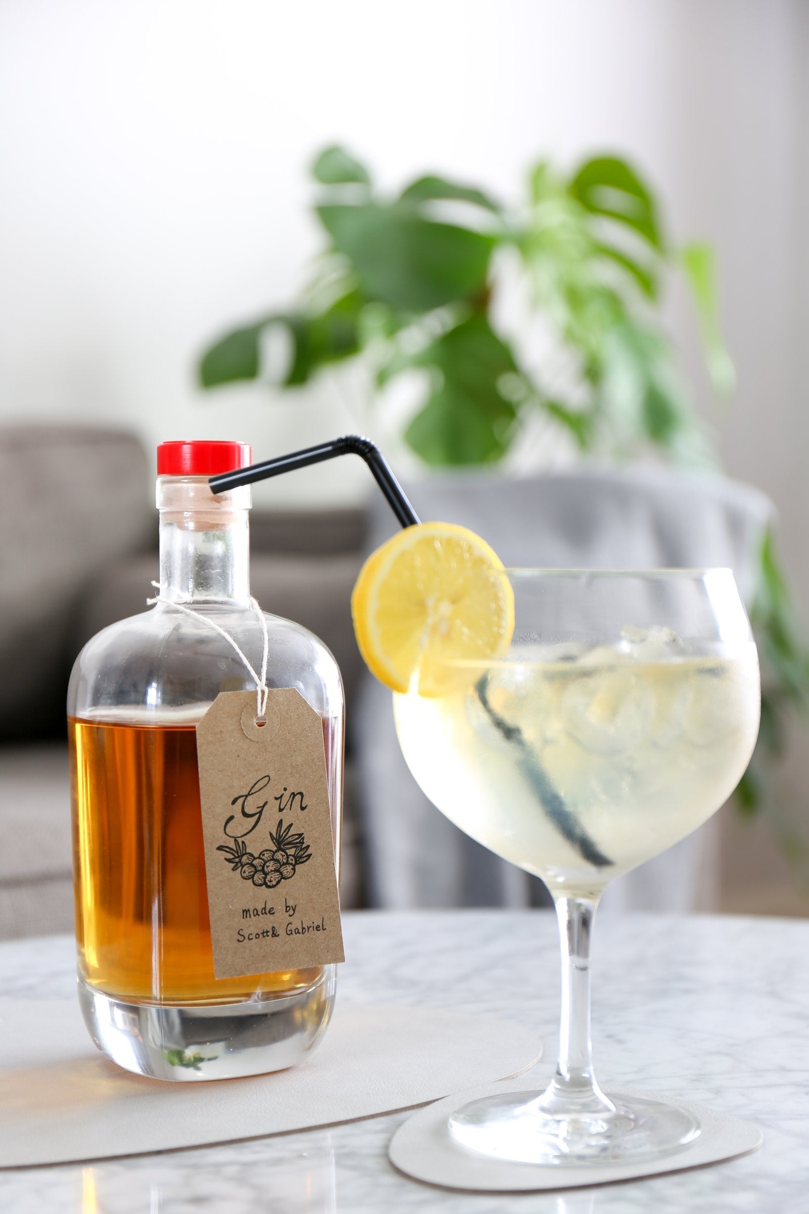 Gin making experience at home with a gin making kit, juniper berries and botanicals on a kitchen table
