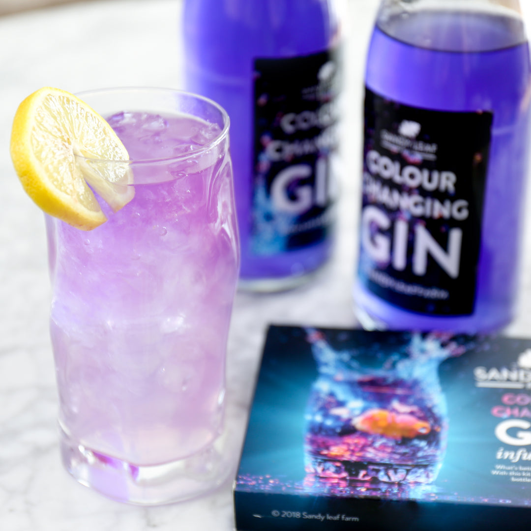 Colour Changing Gin Kit - Make Your Own Magic Gin