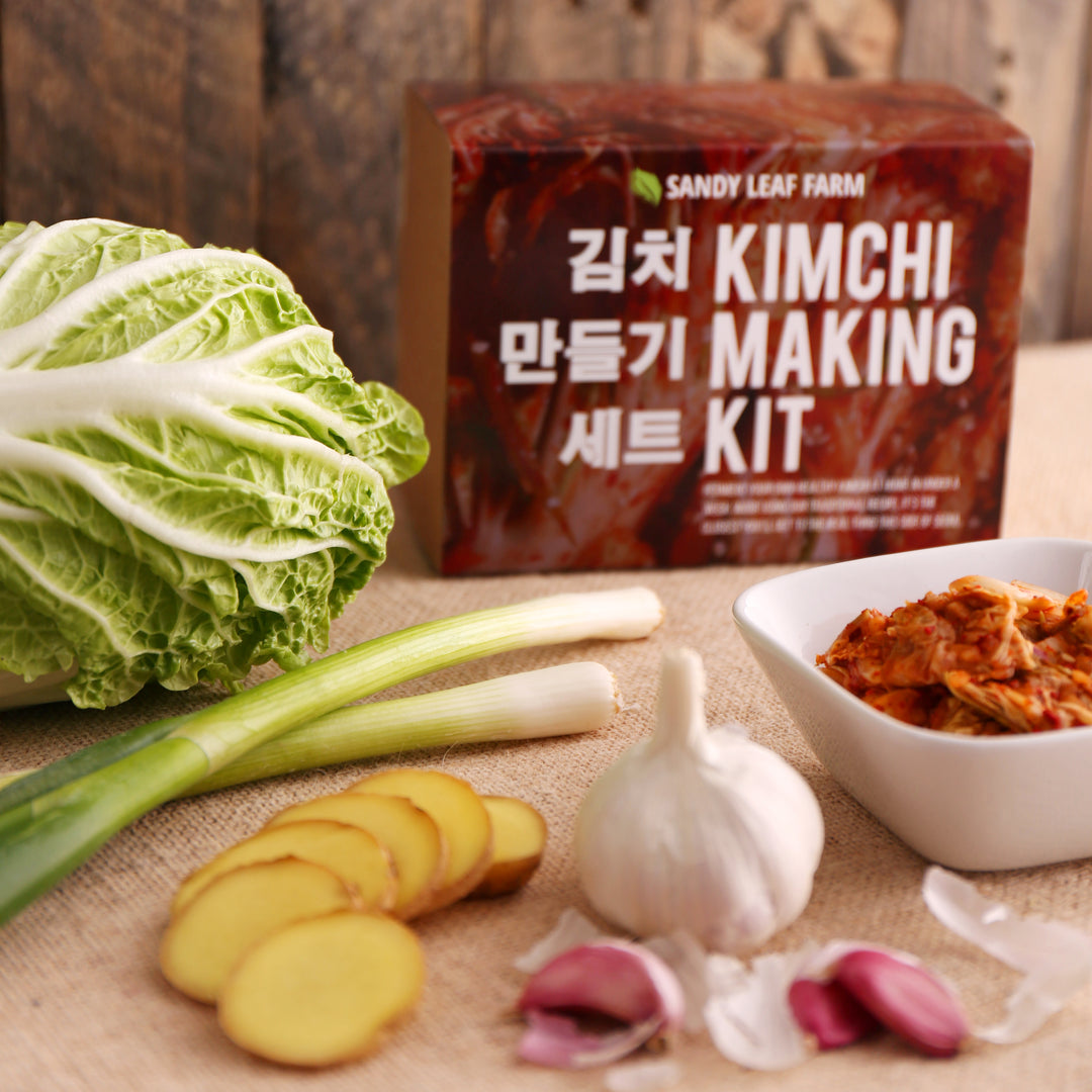 Kimchi Making Kit - Make Your Own Kimchi at Home